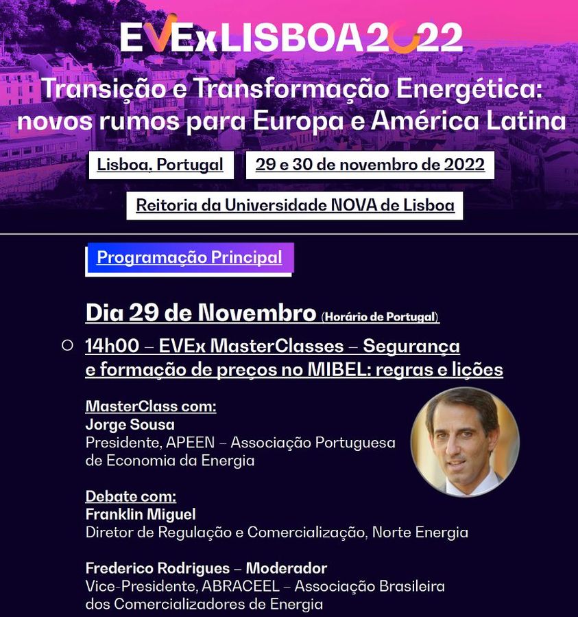 Segurança e formação de preços no MIBEL